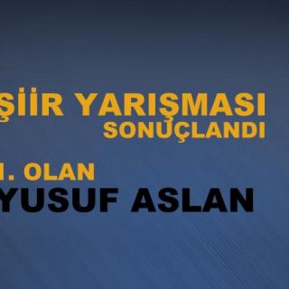 Şairin albümü